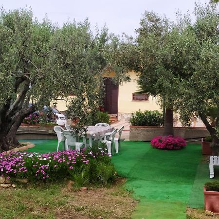 Casanonnavittoria Bed & Breakfast Terrasini Exterior foto